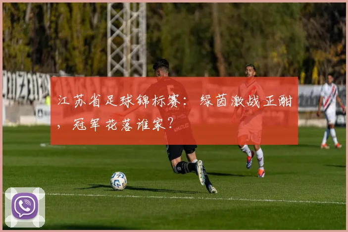 江苏省足球锦标赛：绿茵激战正酣，冠军花落谁家？