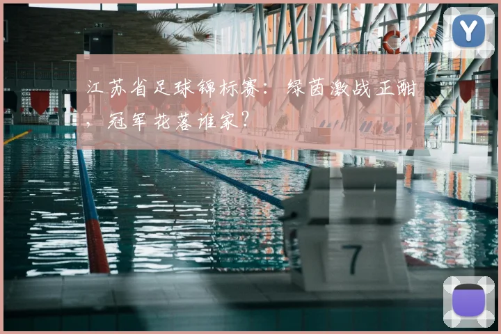 江苏省足球锦标赛：绿茵激战正酣，冠军花落谁家？