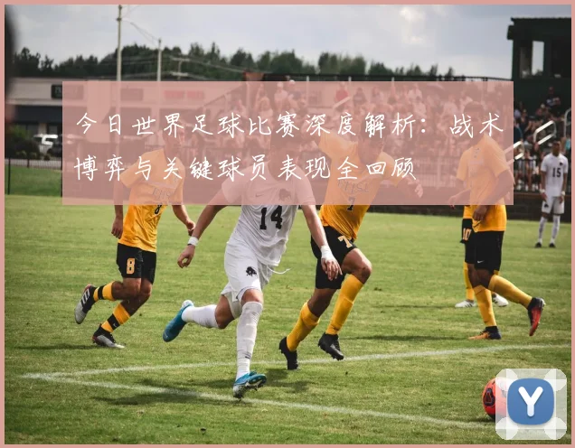 今日世界足球比赛深度解析：战术博弈与关键球员表现全回顾